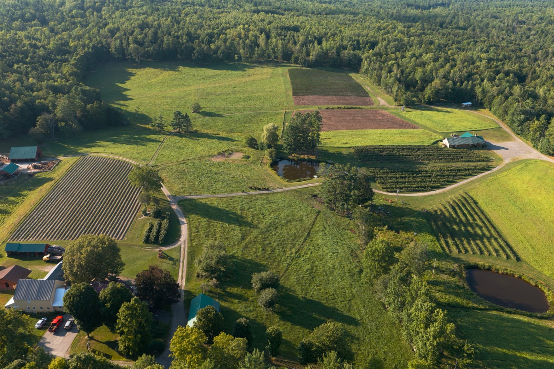 Sites Farm, Athens — Property Overview